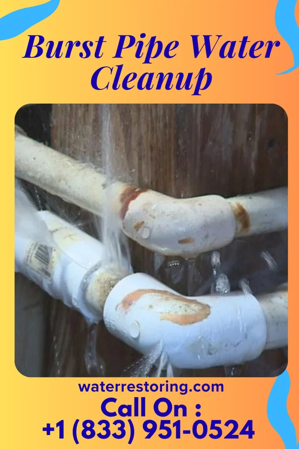 Burst Pipe Water Cleanup in Pinecroft, PA