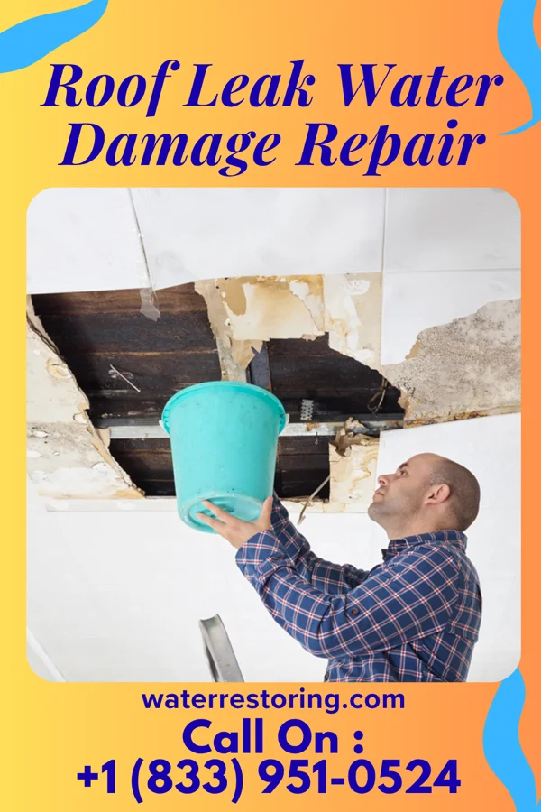 Roof Leak Water Damage Repair in Pinecroft, PA