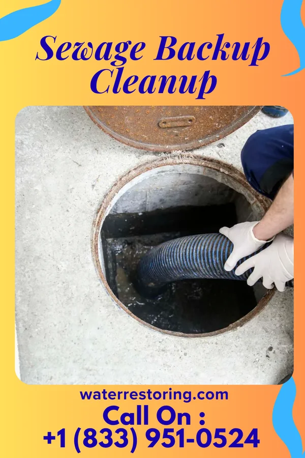 Sewage Backup Cleanup in Pinecroft, PA