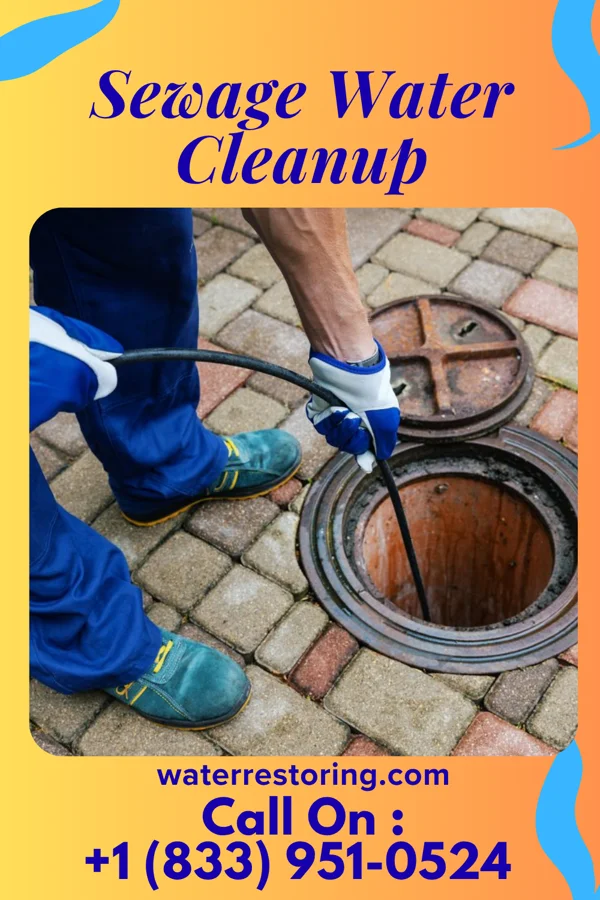 Sewage Water Cleanup in Pinecroft, PA